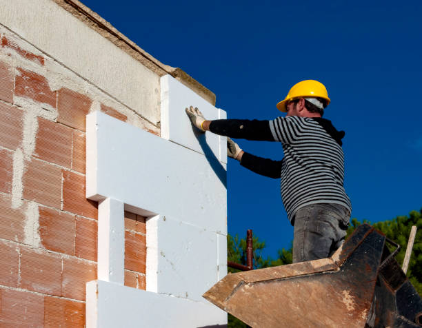 Best Residential Insulation in Ishpeng, MI